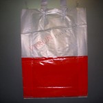 HM Transparent Bags With Loop